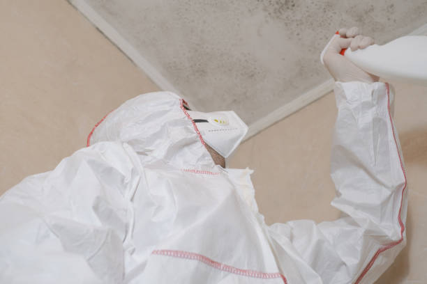 Mold Removal Process in Oak Ridge North, TX